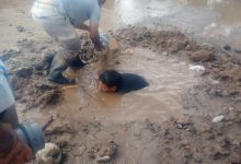 Pozo del Alto- Municipalidad B.R.S – Departamento: Cruz Alta