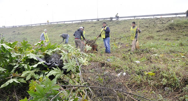 Saneamiento Ambiental trabaja en el acondicionamiento de la zona del Mercofrut