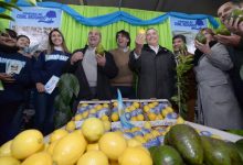 Expo Interior | La economía social dice presente en la muestra