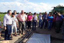 El Gobierno brindó asistencia a damnificados por la lluvia