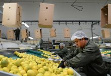 El Gobernador Juan Manzur celebró la apertura del mercado de India