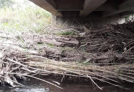 DPV | Tareas de limpieza en canales de la provincia